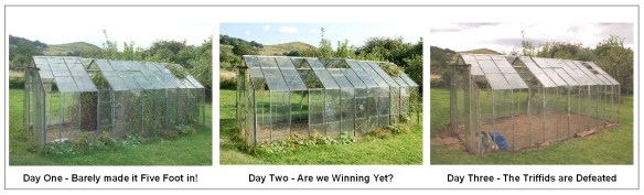 Greenhouse Triffids Defeated
