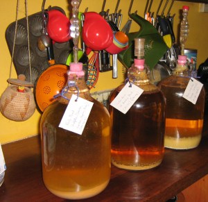 Three test combinations of cider on the go.