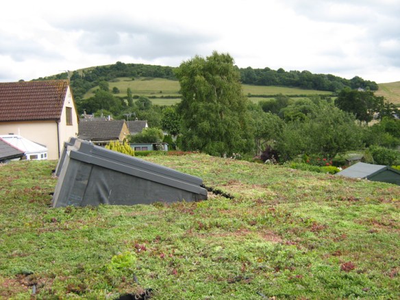 Our sedum green roof instantly transformed the look and feel of the house.