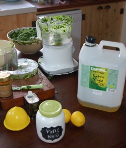 Pesto Ingredients - keeping it simple.
