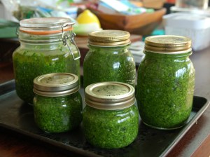 Wild Garlic Pesto 2 - April 2016
